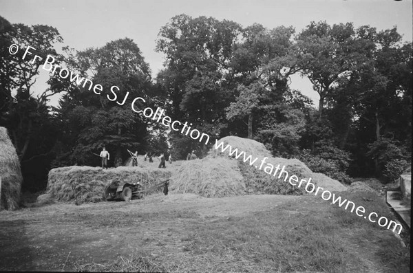 THRESHING AT ST MARYS